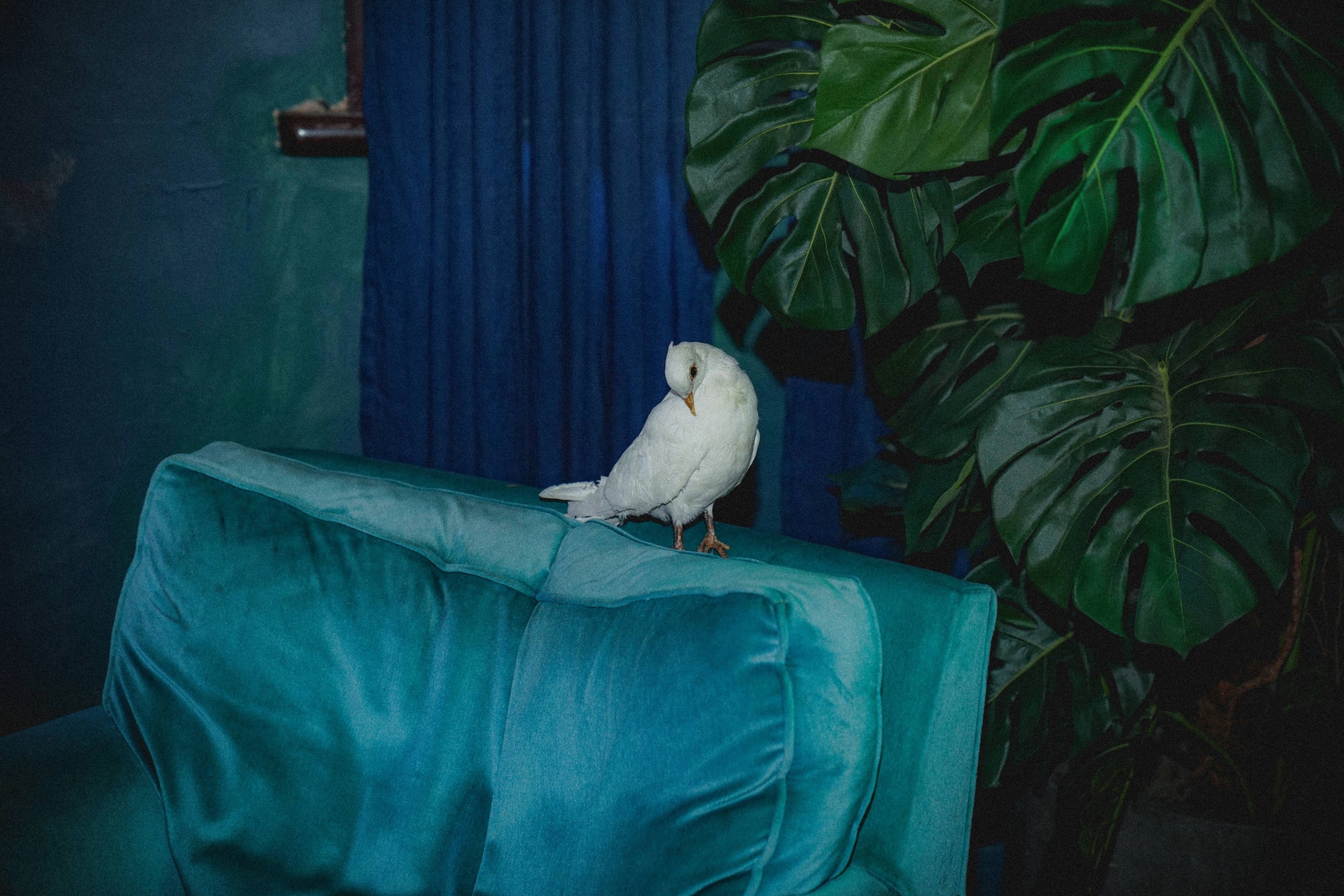 GREEN ROOM 1-16